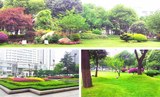 湖北省政府环境设计 (3).jpg