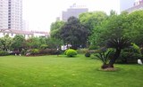 湖北省政府.jpg