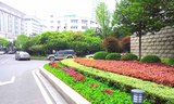 湖北省政府环境设计 (2).jpg