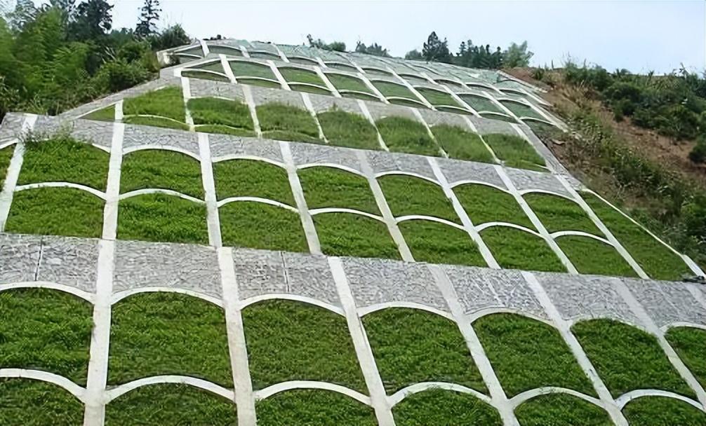 微信图片_20230506093201.jpg