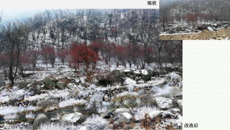 QQ截图20190216151500.jpg